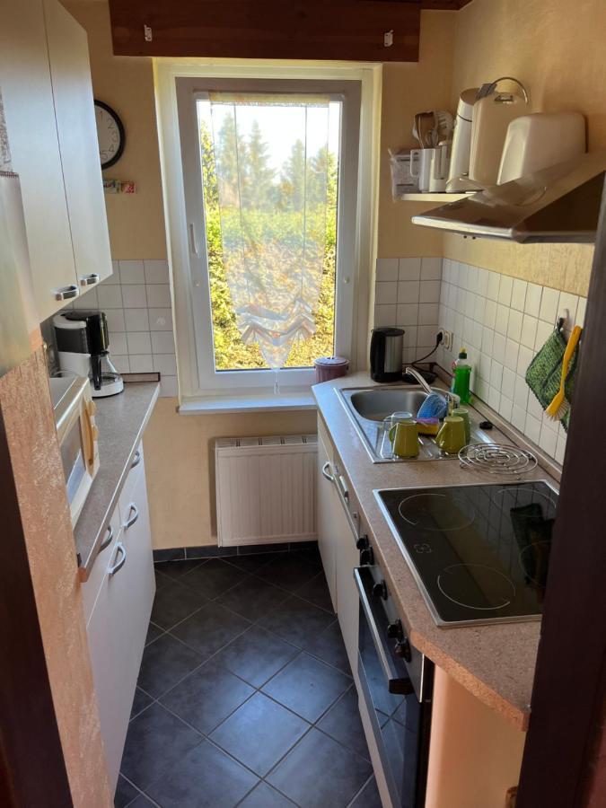 Holiday home Guenther Harzgerode/schielo Schielo